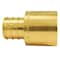 Apollo 3/4 in. Brass PEX Barb x 3/4 in. Female Copper Sweat Adapter Jar (30-Pack), 30PK APXFS3430JR - alternate 1